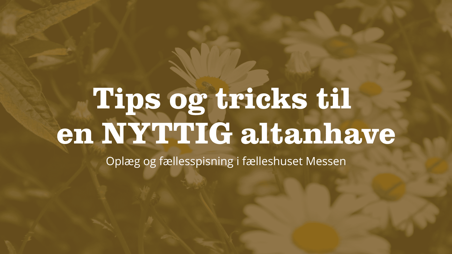 HUSK-AT-REGISTRERE-DIN-BIL-2